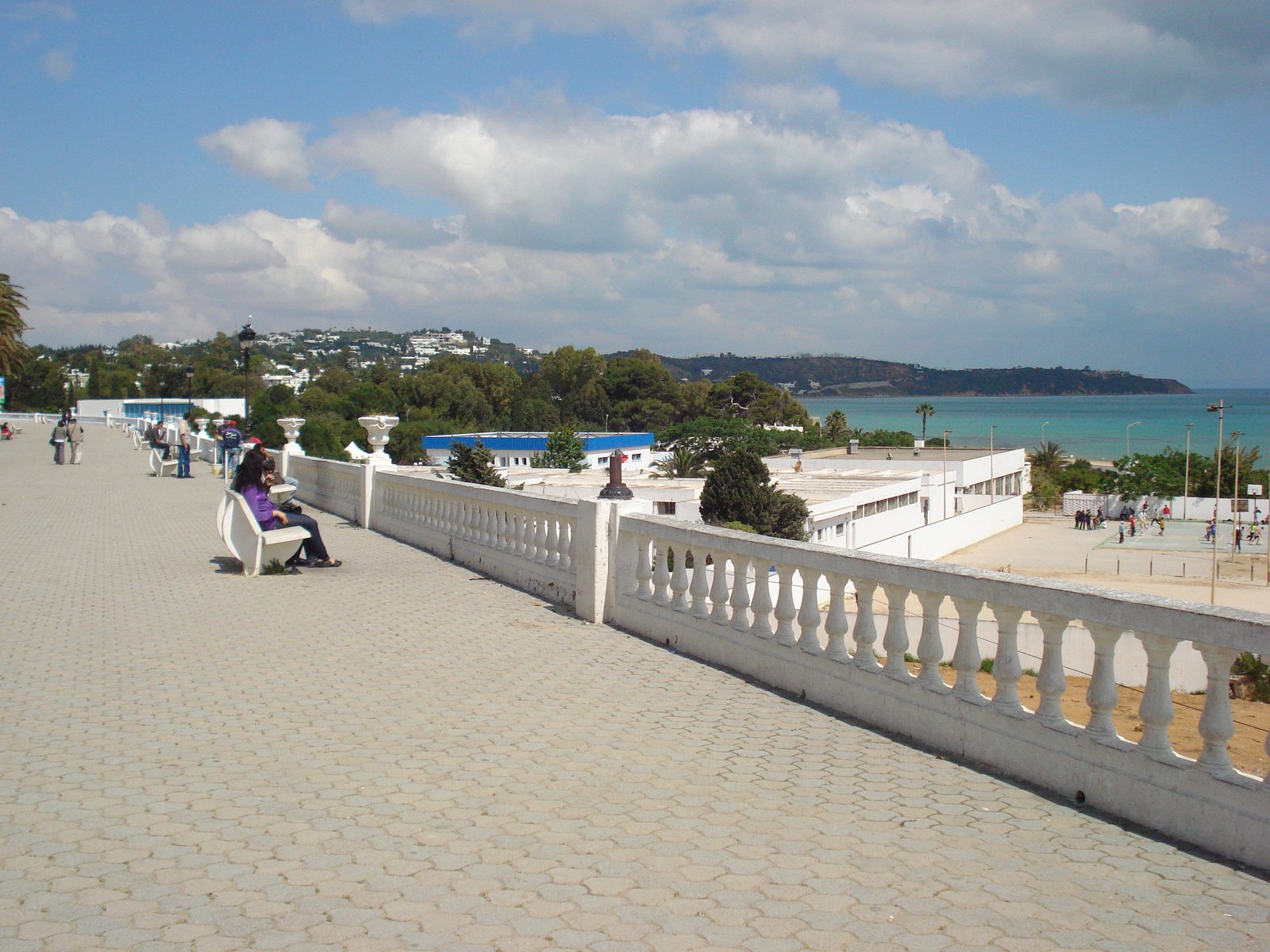 Illustration — À La Marsa, le café de la corniche numérote désormais ses tables, ses habitués font la queue pour s'asseoir là où ils s'assoient depuis vingt ans (Société)