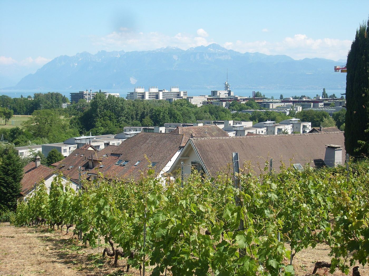 Illustration — Une commune vaudoise remonte jusqu'au propriétaire d'un sac-poubelle non taxé, l'affaire élucidée en quarante minutes (Insolite)